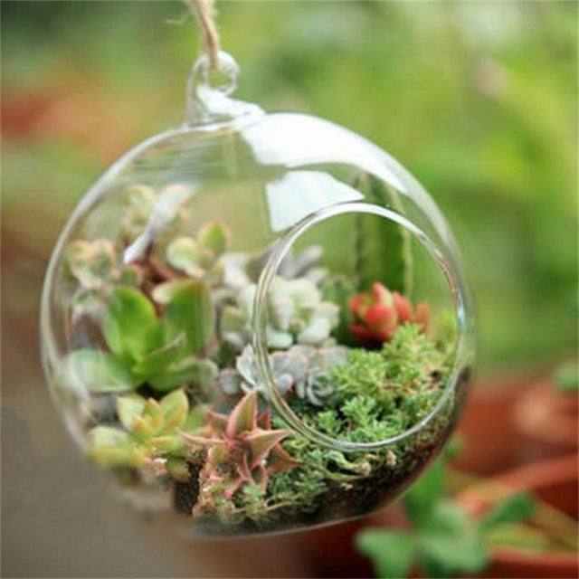 Globe Shape Clear Hanging Glass Vase