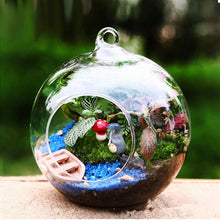 Load image into Gallery viewer, Globe Shape Clear Hanging Glass Vase