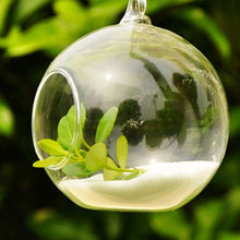 Load image into Gallery viewer, Globe Shape Clear Hanging Glass Vase