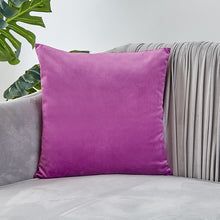 Load image into Gallery viewer, Velvet Pillow Solid Cover