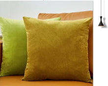 Load image into Gallery viewer, Velvet Pillow Solid Cover