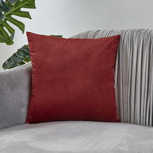 Load image into Gallery viewer, Velvet Pillow Solid Cover