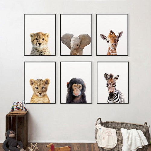 Baby Animals Art Print Poster