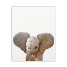 Load image into Gallery viewer, Baby Animals Art Print Poster