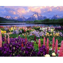 Load image into Gallery viewer, Acrylic Frame Oil Painting