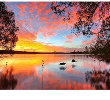 Load image into Gallery viewer, Acrylic Frame Oil Painting