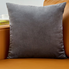 Load image into Gallery viewer, Velvet Pillow Solid Cover