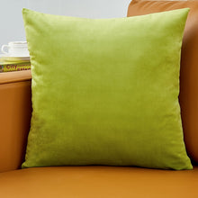 Load image into Gallery viewer, Velvet Pillow Solid Cover