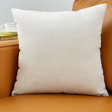 Load image into Gallery viewer, Velvet Pillow Solid Cover