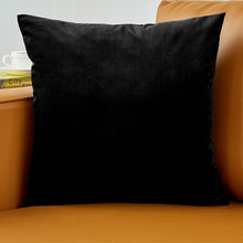 Load image into Gallery viewer, Velvet Pillow Solid Cover