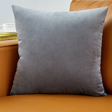 Load image into Gallery viewer, Velvet Pillow Solid Cover