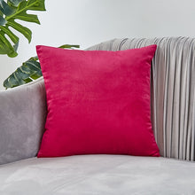 Load image into Gallery viewer, Velvet Pillow Solid Cover