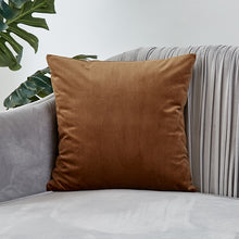 Load image into Gallery viewer, Velvet Pillow Solid Cover
