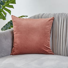 Load image into Gallery viewer, Velvet Pillow Solid Cover