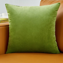 Load image into Gallery viewer, Velvet Pillow Solid Cover