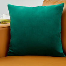 Load image into Gallery viewer, Velvet Pillow Solid Cover