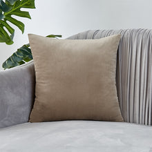 Load image into Gallery viewer, Velvet Pillow Solid Cover