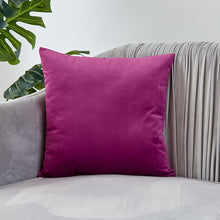 Load image into Gallery viewer, Velvet Pillow Solid Cover