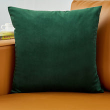 Load image into Gallery viewer, Velvet Pillow Solid Cover