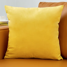 Load image into Gallery viewer, Velvet Pillow Solid Cover