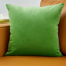 Load image into Gallery viewer, Velvet Pillow Solid Cover