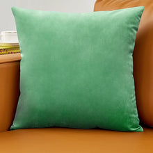 Load image into Gallery viewer, Velvet Pillow Solid Cover