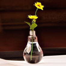 Load image into Gallery viewer, Bulb Glass Flower Vase