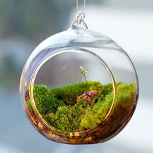 Load image into Gallery viewer, Globe Shape Clear Hanging Glass Vase