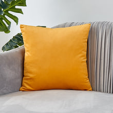 Load image into Gallery viewer, Velvet Pillow Solid Cover