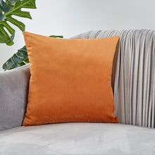 Load image into Gallery viewer, Velvet Pillow Solid Cover